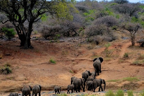 Africa nos da lecciones sobre el aprovechamiento de energía